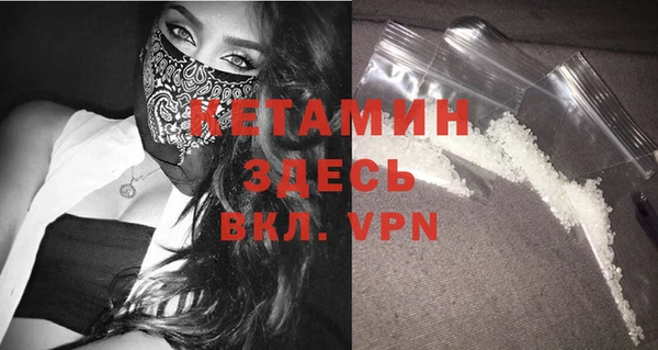 трава Аркадак