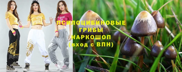 синтетический гашиш Арсеньев